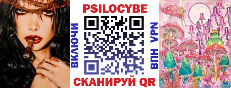 Псилоцибиновые грибы Psilocybine cubensis  Назрань 